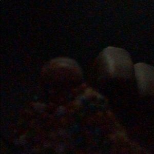 Meet your Posher, Eduardo